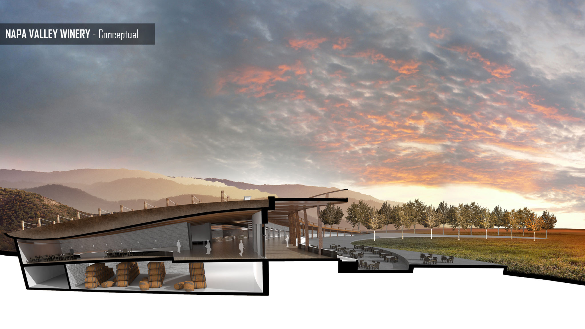 Napa Valley Winery, Conceptual